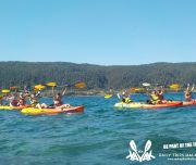Sea Kayak Halkidiki yoga kayak tours