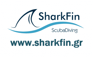 SharkFin- Partner